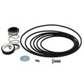 Springer Parts Pump Rebuild Kit for Aurora 320 Series Pumps 321, 323, and 324A FK100278XXXX02SP